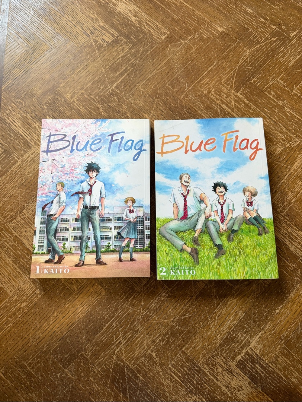 Blue Flag Volumes 1-2 Manga